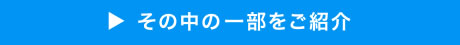 その中の一部をご紹介　へ