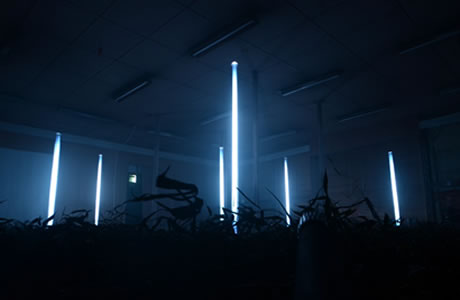 写真：on the ground