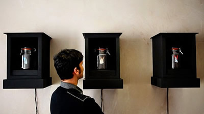 写真：Jam Jar Fairies