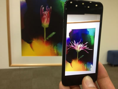 写真：Moments of Bloom