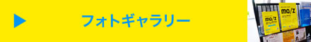 フォトギャラリー